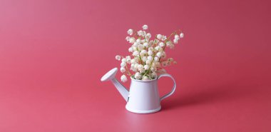 Lilies of the valley bouquet in a decorative watering can on a magenta background.