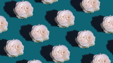 Moving pattern made of a white rose with hard shadows on a green background. Creative flower animation. High quality 4k footage