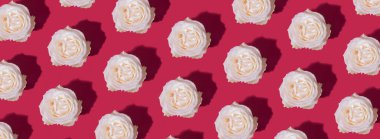 Rose bud pattern on viva magenta color background. Floral banner background in trendy color.