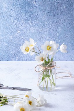 Anemones flower bouquet greetings with spring, for Mother's Day or March 8.