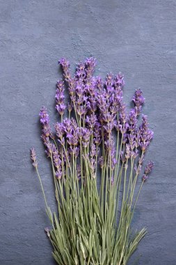 Lavender flowers on concrete background top view. Vertical format