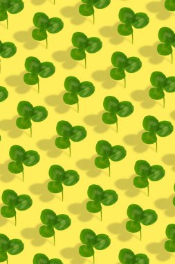 Renkli arka planda yonca yaprağı deseni. Aziz Patrick Günü için soyut dikey arkaplan.