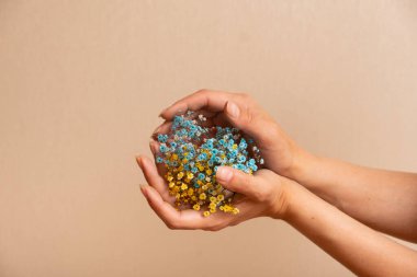 Yellow-blue gypsophila flowers in a woman's hand. Ukrainian symbols.