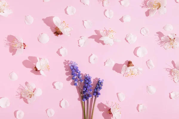 Цветы Лепестки Сверху Розовом Фоне Твёрдыми Тенями Весенний Цветок — стоковое фото