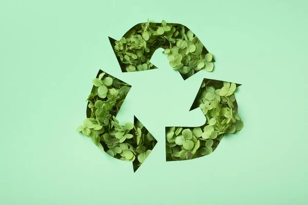 Zielone Kwiaty Pod Papierem Pocięte Symbol Recyklingu Zachowaj Koncepcję Recyklingu — Zdjęcie stockowe