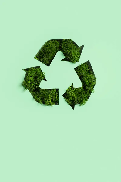 Зелений Мох Під Паперовим Вирізом Символ Переробки Зберегти Планету Екологію — стокове фото