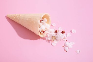 Pembe arka planda kiraz çiçeği yaprakları olan bir waffle konisi. İlkbahar yaratıcı fotoğrafı.