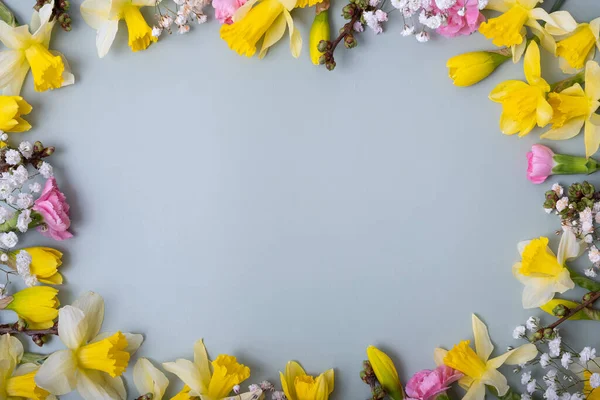 Весенние Цветы Плоская Рамка Композиции Цветном Фоне Копировальным Пространством Нарциссы — стоковое фото