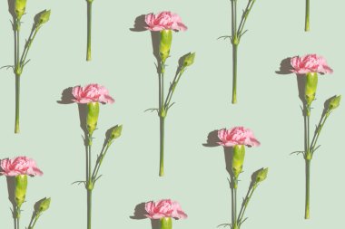 Yeşil arka planda pembe karanfil üst görünüm deseni.