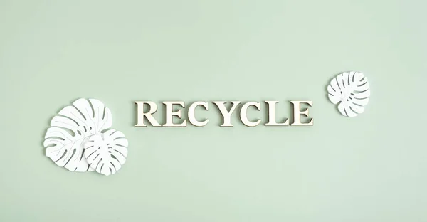 木製文字からのリサイクルテキスト緑の背景にモンスター植物とトップビュー — ストック写真