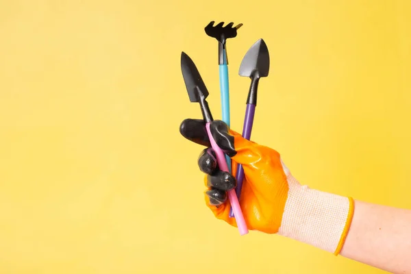 Hand in gardening glove with gardening tools on a colored background.