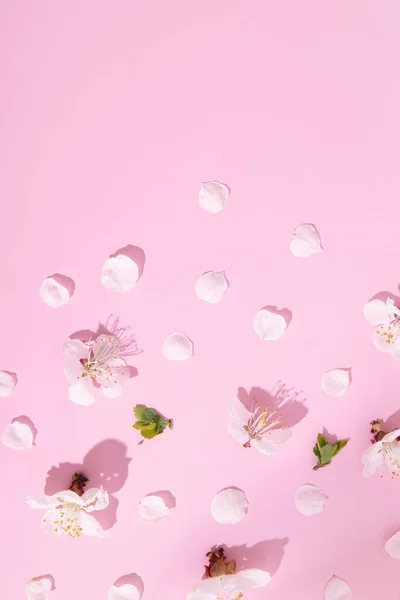 Pattern Delicate Petals Cherry Blossoms Pink Background Beautiful Spring Vertical — Stock Photo, Image