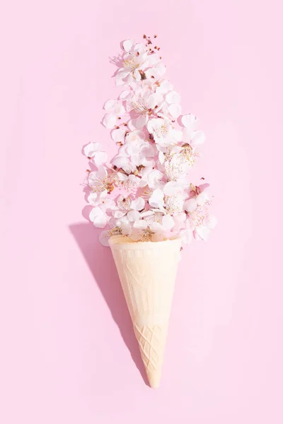 stock image A waffle cone with delicate cherry blossom petals on a pink background. Spring creative photo.