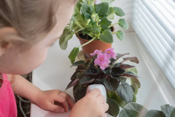 Egy Éves Kislány Öntözi Házi Növényeket Otthon Ültetés Gyermekkori Koncepcióból — Stock Fotó