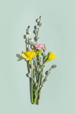 Bahar aylarında nergis, karanfil ve söğüt ağacının yeşil arka plandaki dallarından çiçek bileşimi seriliyordu..