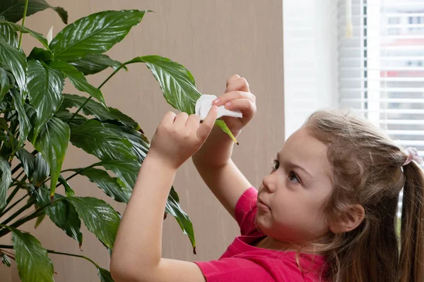 Egy Éves Lány Gondozza Házi Növényeket Otthon Ültetés Gyermekkori Koncepcióból — Stock Fotó