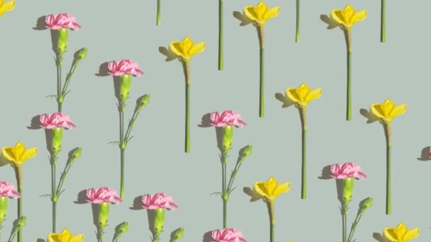 분홍빛 노란색의 꽃들은 무늬가 카네이션 꽃들은 꼭대기를 평평하게 장식하였습니다 고품질 — 비디오
