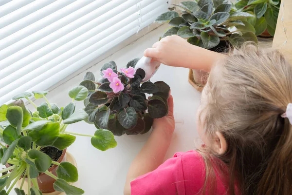 Egy Éves Kislány Öntözi Házi Növényeket Otthon Ültetés Gyermekkori Koncepcióból — Stock Fotó