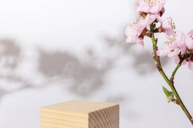 Podyum ya da kiraz çiçeği dallarıyla süslenmiş ahşap bir kaide. Kozmetik modeli.