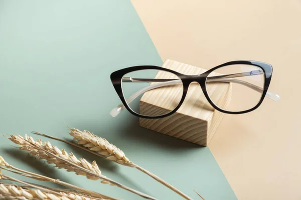 Stilvolle Brille Mit Ähren Auf Farbigem Hintergrund Optischer Laden Sehtest — Stockfoto