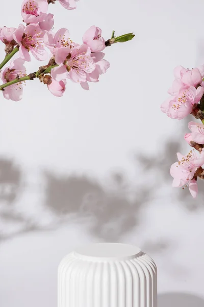 桜のツイッグで飾られた化粧品のための空の表彰台や台座 春の化粧品テンプレート ストック写真