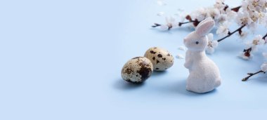 Paskalya yumurtaları ve tavşan ve mavi afiş arkaplanında bir çiçek dalı