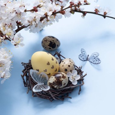 Yuvasında çiçekler ve mavi arka planda kelebekler olan Paskalya yumurtaları.