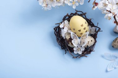 Yuvasında beyaz çiçekler ve mavi arka planda kelebekler olan Paskalya yumurtaları. Uzayı kopyala Boş tebrik kartı.