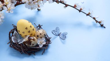 Yuvasında çiçekler ve mavi arka planda kelebekler olan Paskalya yumurtaları.