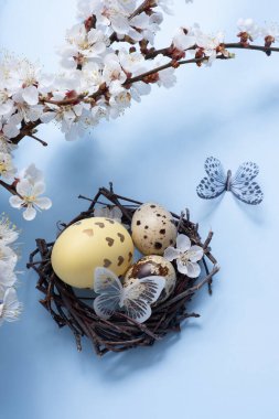 Yuvasında çiçekler ve mavi arka planda kelebekler olan Paskalya yumurtaları.