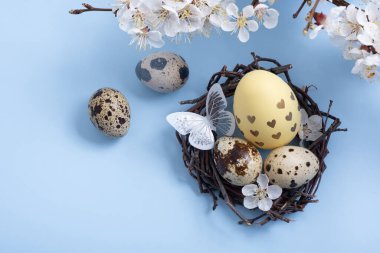 Yuvasında çiçekler ve mavi arka planda kelebekler olan Paskalya yumurtaları.