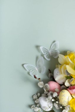 Nergisler, paskalya yumurtaları ve yeşil arka planda söğüt. Paskalya tebrik kartı şablonu.