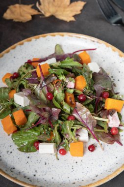 Sebzeli salata, kabak ve koyu arkaplanda yumuşak peynir. Sonbahar menü kavramı