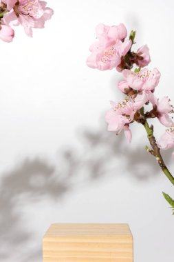 Podyum ya da kiraz çiçeği dallarıyla süslenmiş ahşap bir kaide. Kozmetik modeli.