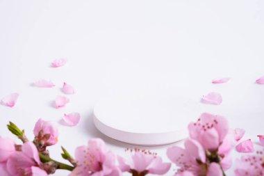 Kürsü, kaide ve pembe çiçek ve taç yapraklı bahar beyazı arkaplan