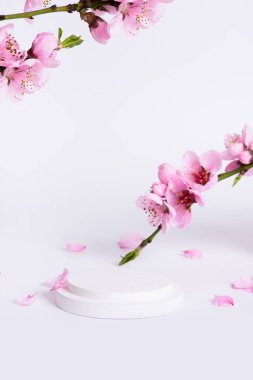 Podyum ya da platform ve pembe çiçek açı dikey fotoğraflı bahar beyaz arkaplan.