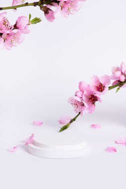 Podyum ya da platform ve pembe çiçek açı dikey fotoğraflı bahar beyaz arkaplan.