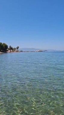 Sakin sular ve berrak gökyüzü güneşli bir günde yakalanan sakin bir sahil bölgesinde.