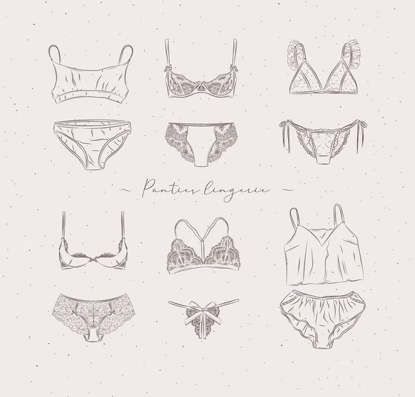 Lingerie Set Panties Bras Graphic Style Drawn Beige Background — Stock Vector