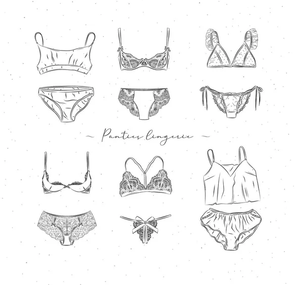 Lingerie Set Panties Bras Graphic Style Drawn White Background — Stock Vector