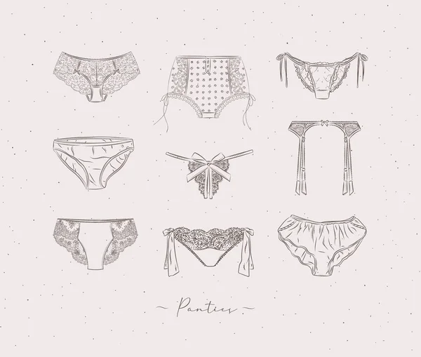 Lace Sexy Panties Collection Drawn Graphic Style Beige Color Background — Stock Vector
