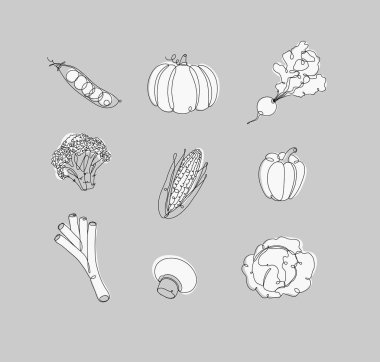 Sebze ikonları, bezelye, balkabağı, turp, brokoli, mısır, biber, pırasa, şampiyon, lahananın beyaz arka planda doğrusal çizimi.