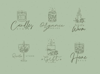 Yeşil arkaplanda dallı mumlar ve etiket koleksiyonu çizimi