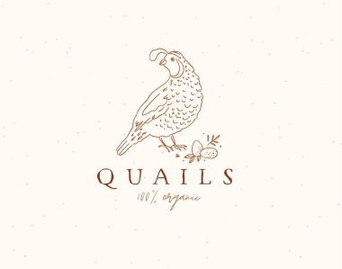 Bej arka planda bıldırcın 100 organik çiftlik eti çizimi