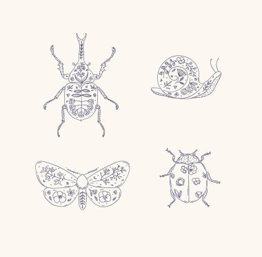 Böcek elementleri gergedan böceği, salyangoz, güve, uğur böceği bej arka planda maviyle çiçek şeklinde çizer.