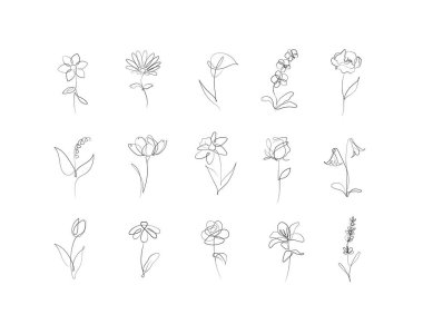 Çiçek simgeleri seti gül, lale, çan, kamelya, nergis, papatya, calla, lavanta, zambak, şakayık, gelincik, duvar çiçeği çizimi doğrusal tarzda, beyaz arka planda siyah