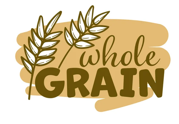 Landwirtschaft Weizen Logo Template Bio Vollkorngetreide Etikett Mehlspeisung Design Von — Stockvektor
