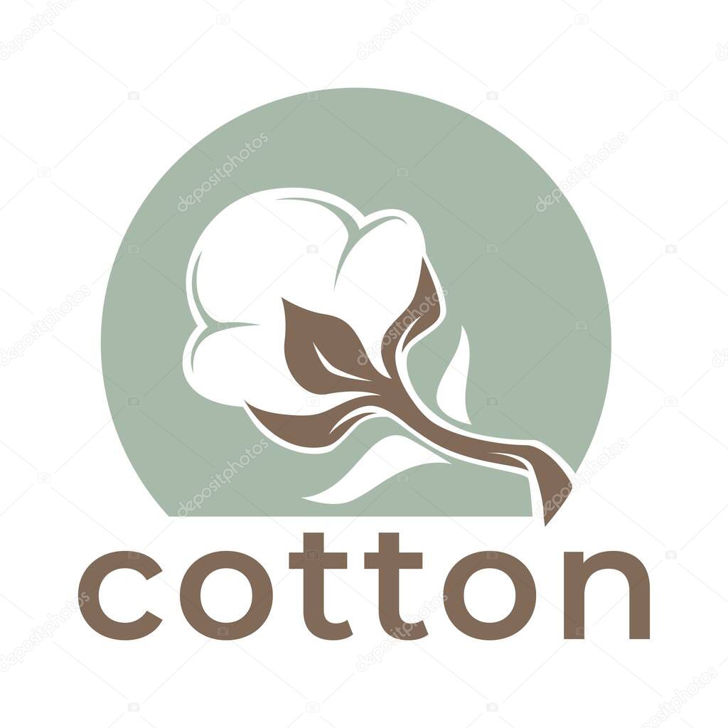 Cotton pure and organic product. Vector textile industry field plant emblem or logo clothes material production label agriculture and plantation fabric or fiber growing and processing