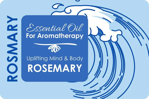 Esenciální Olej Pro Aromaterapii Rozmarýn Povznášející Mysl Tělo Mořská Nebo — Stockový vektor