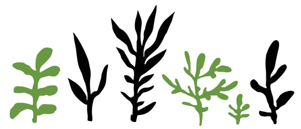 Plantes Rameaux Branches Avec Feuillage Feuillage Algues Isolées Pour Aquarium — Image vectorielle
